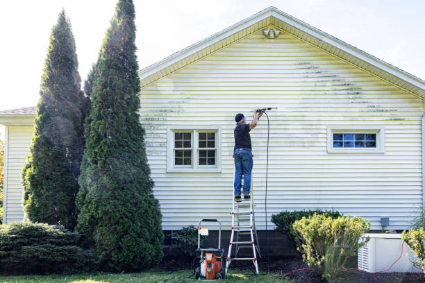 Best Paint Preparation  in Springdale, NC